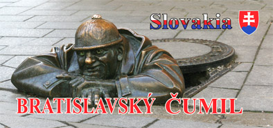 magnetka Bratislava 10x5cm č.706